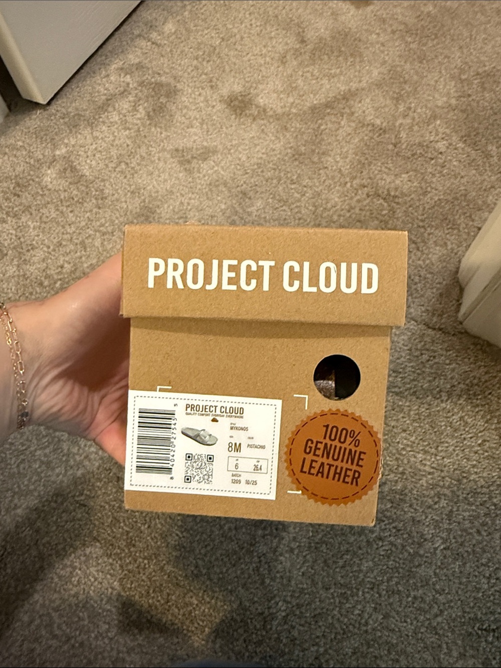 Project Cloud Slides - Picture 5 of 5